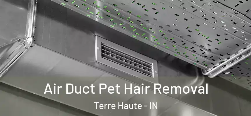  Air Duct Pet Hair Removal Terre Haute - IN