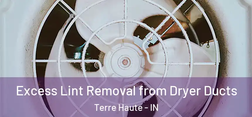  Excess Lint Removal from Dryer Ducts Terre Haute - IN