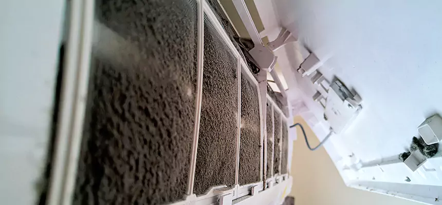 Preventive Air Duct Bacteria Removal in Terre Haute