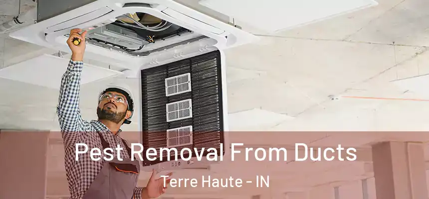  Pest Removal From Ducts Terre Haute - IN