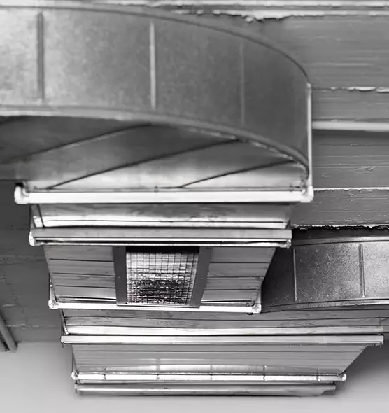 Professional Air Duct Pet Hair Removal in Terre Haute, IN