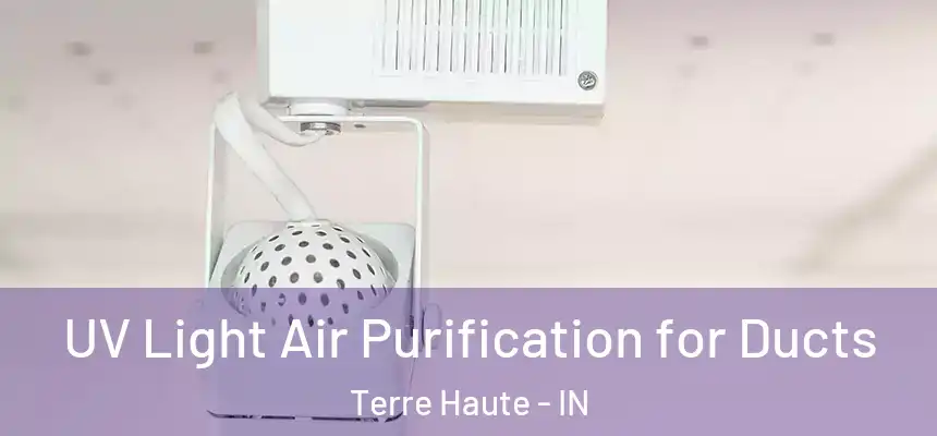 UV Light Air Purification for Ducts Terre Haute - IN